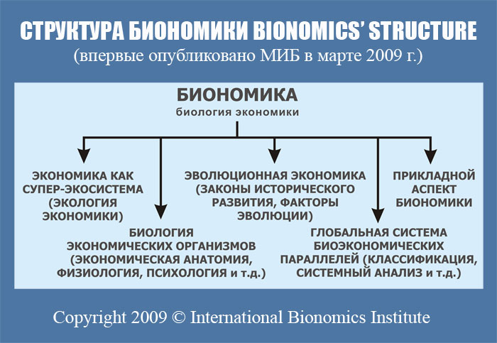 структура биономики