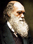 Ч.Дарвин