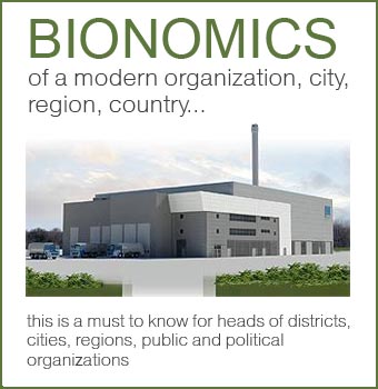 Bionomics of a modern city, region, country